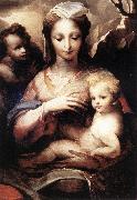 BECCAFUMI, Domenico Madonna with the Infant Christ and St John the Baptist  gfgf oil